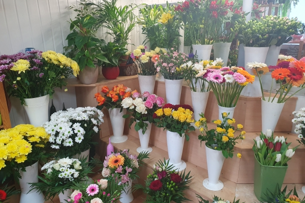 Bild 1 von Gärtnerei & Blumenhandel Schüler